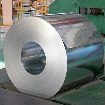 1000mm Đường dây tóc dày 2,5mm Cuộn dây thép không gỉ TUV Chải thép không gỉ